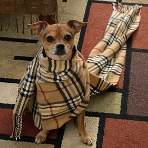 Meet your Posher, Erica